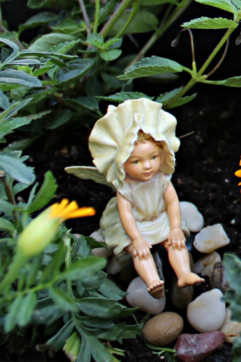 mini-fairy-gardens-baby