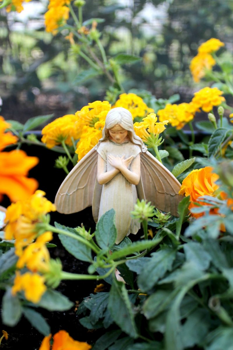 mini-fairy-gardens-fairy-3