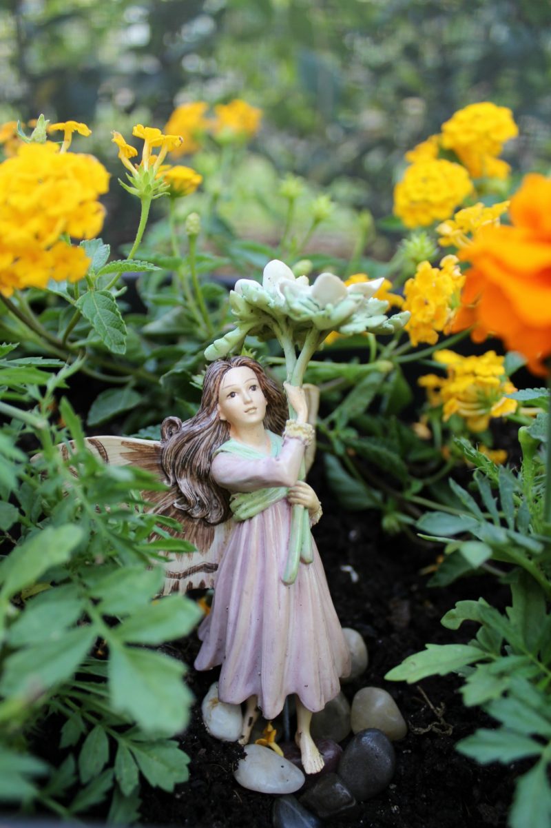 mini-fairy-gardens-fairy-1
