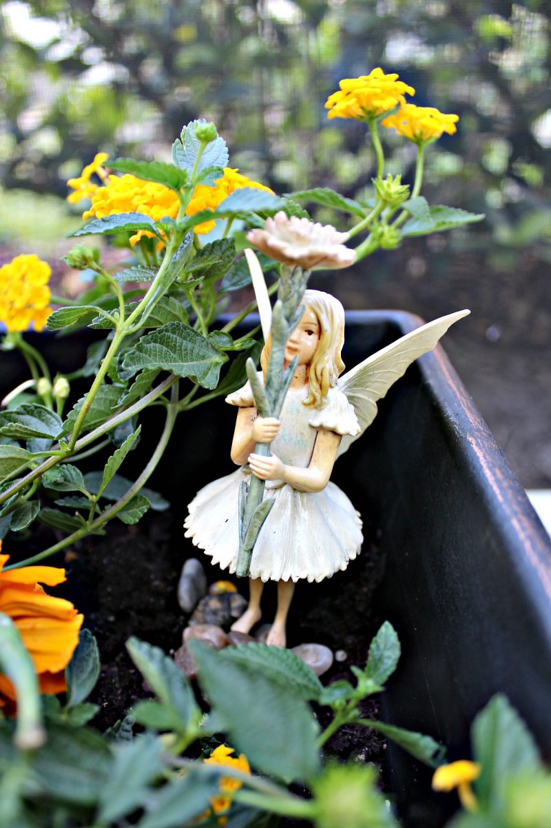 mini-fairy-gardens-fairy-2
