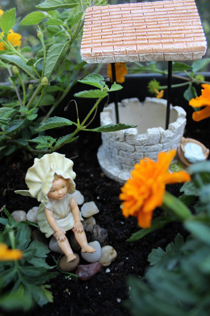 mini-fairy-gardens-well