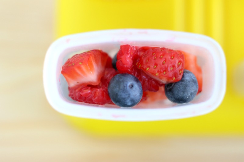 perfect-summer-popsicle-container