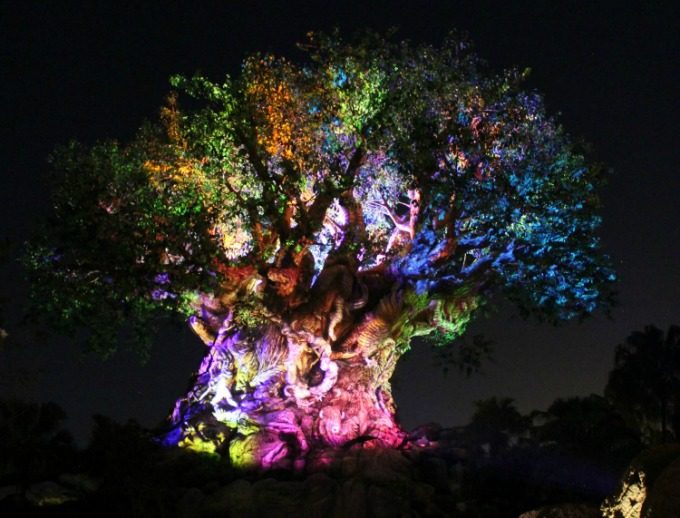 The tree of life comes alive at night in Disney's Animal Kingdom