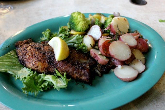 Dining on blackened grouper at Sam's Beach Bar in Pasco County