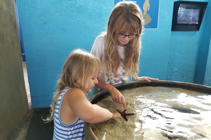 Girls touching a starfish at the Mote Marine Aquarium