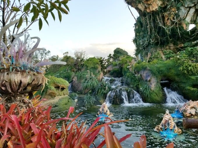 Pond at Pandora in Walt Disney World's Animal Kingdom