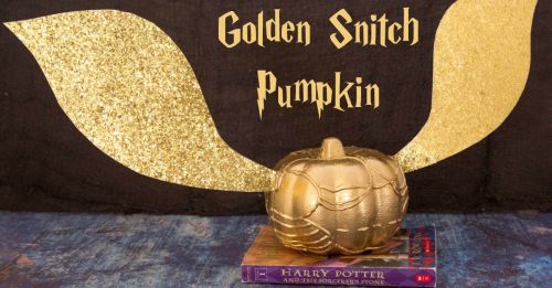 Golden Snitch Pumpkin FB