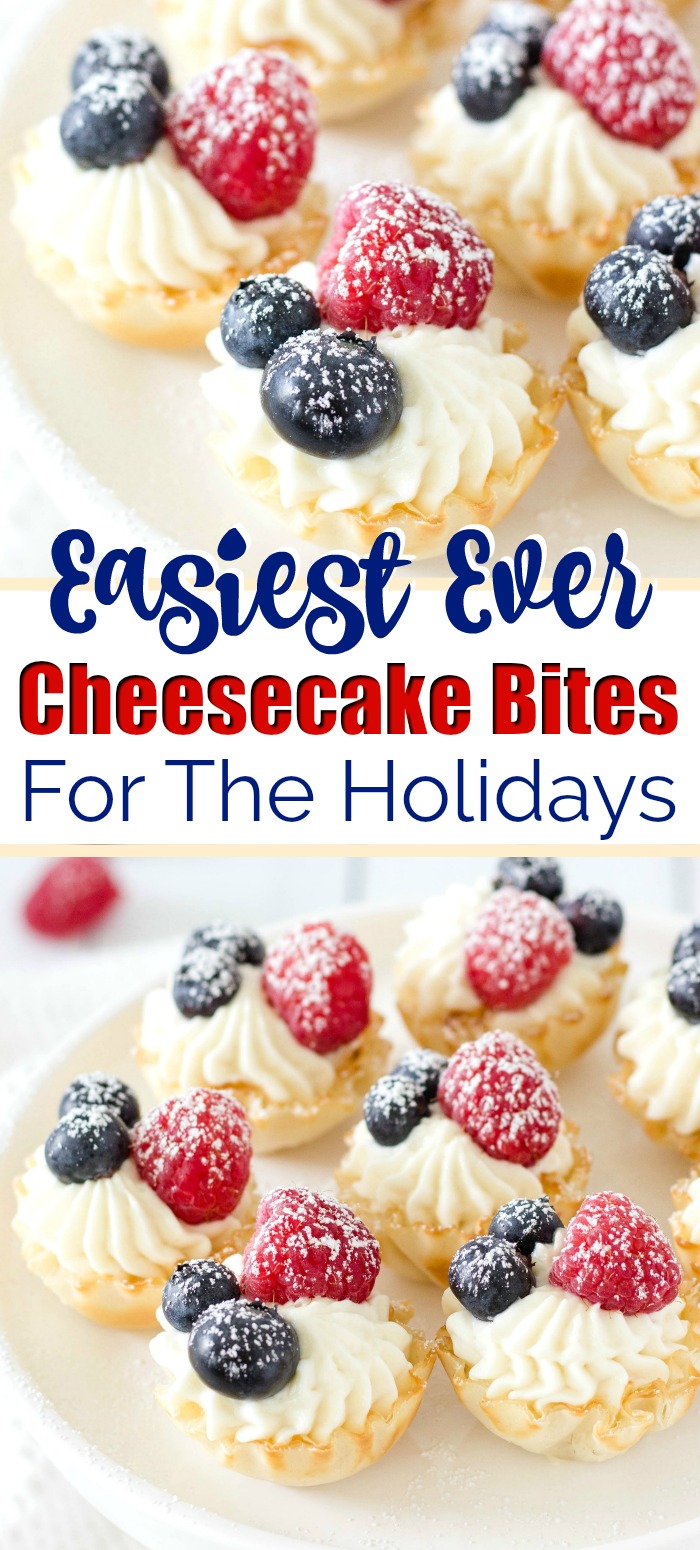 Easy No Bake Cheesecake Bites | Fun Money Mom