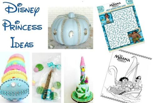 Disney Princess ideas feature