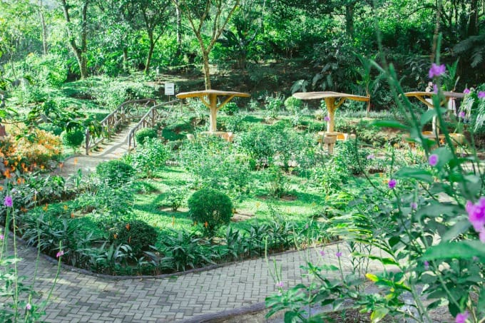 Gardens at Mistico Hanging Bridges Park in Arenal Costa Rica