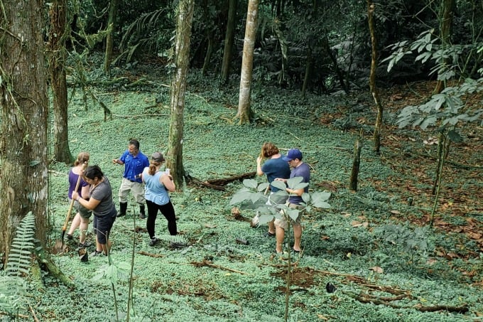 Planting a tree in Arenal