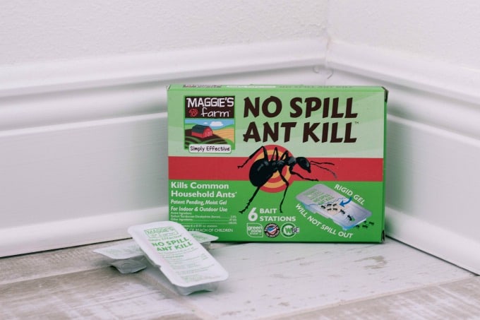 Maggie's Farm No Spill Ant Kill