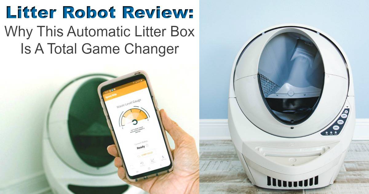 litter robot setup