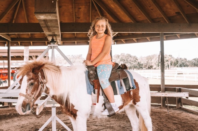 Pony rides at Westgate River Ranch