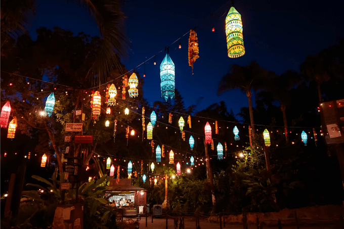 Glowing lanterns in Disney's Animal Kingdom