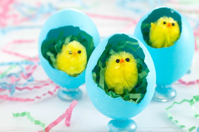 Adorable Easter Chick Craft