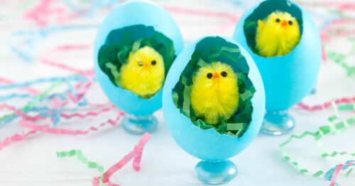 Easter chick craft