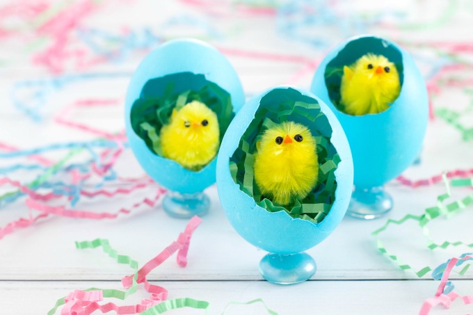 Easter chicks in eggs