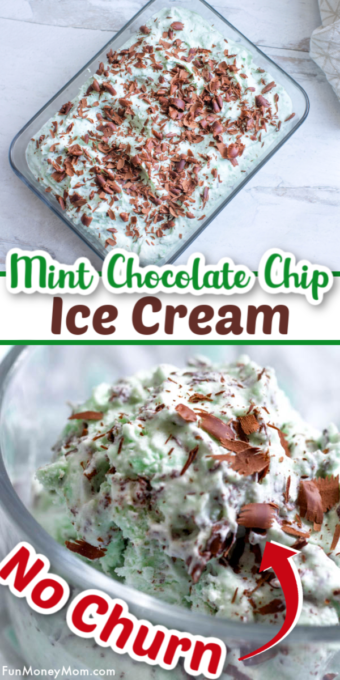 Mint Chocolate Chip Ice Cream Pin 2