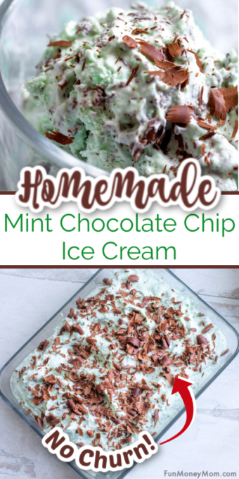 Mint Chocolate Chip Ice Cream Pin 3