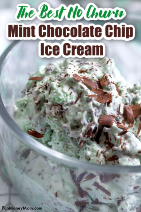 Mint Chocolate Chip Ice Cream (no churn recipe) | Fun Money Mom