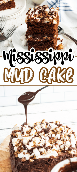 Mississippi Mud Cake Pin 3