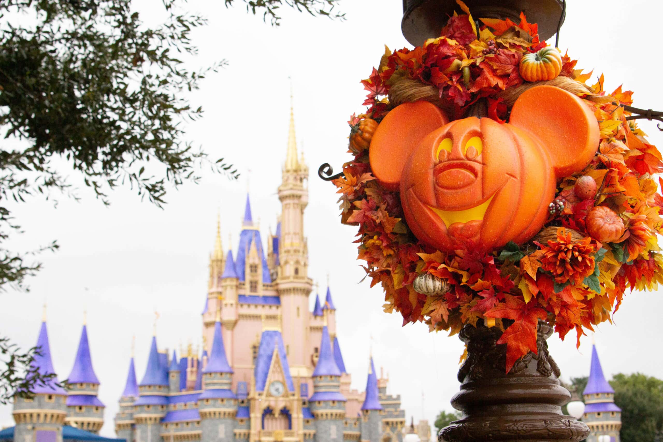 Fall decorations at Walt Disney World