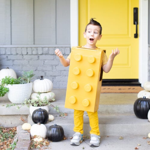 little boy in Lego costume