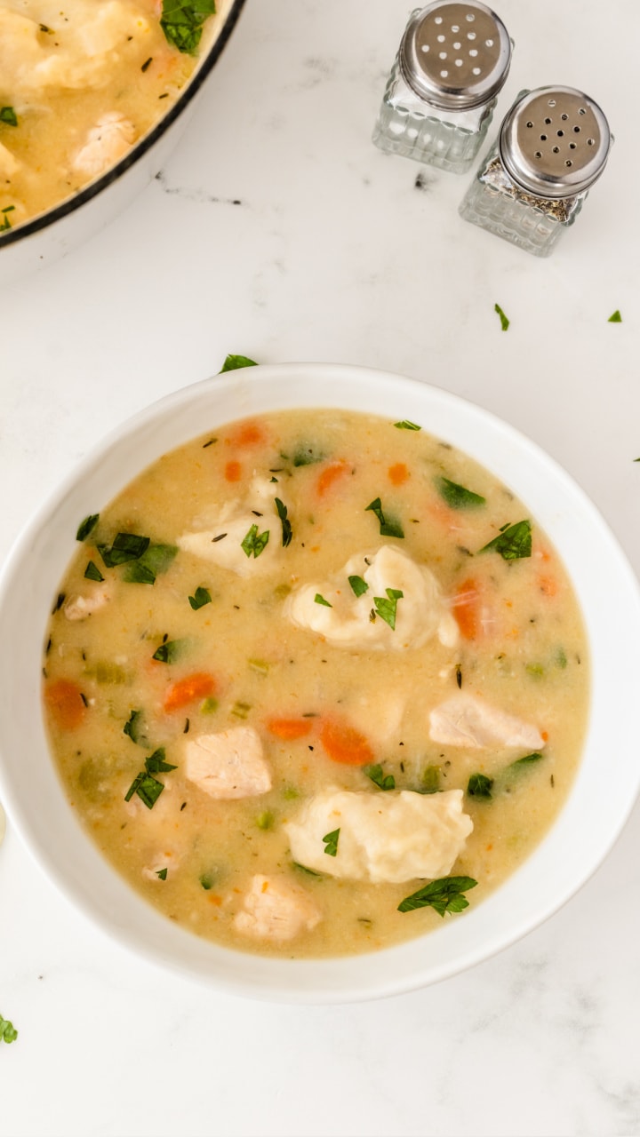 Mom's Chicken Dumpling Soup Recipe 