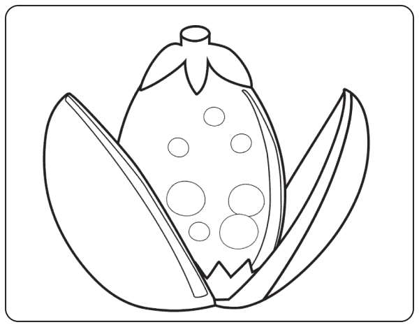 Golden Egg Coloring Page