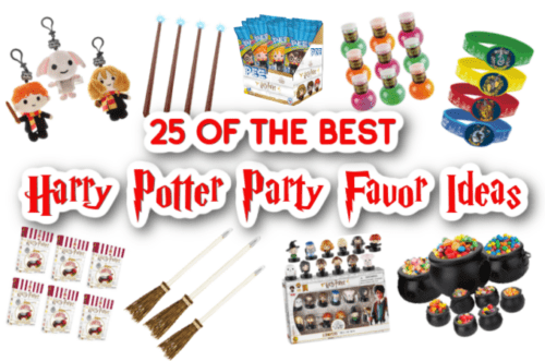Harry Potter Party Favors 