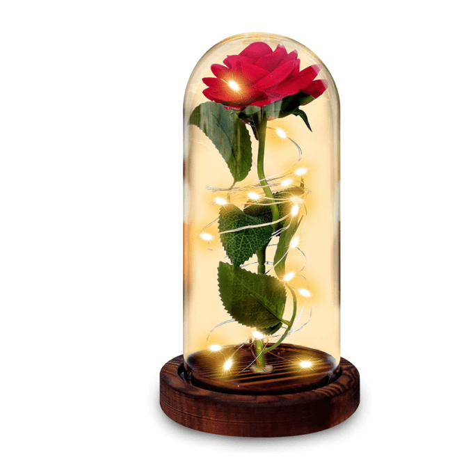 Red rose in glass dome decoration