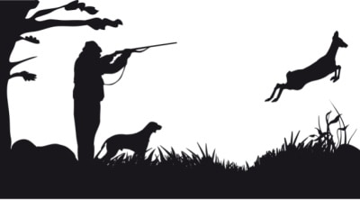 Hunter aiming gun at deer