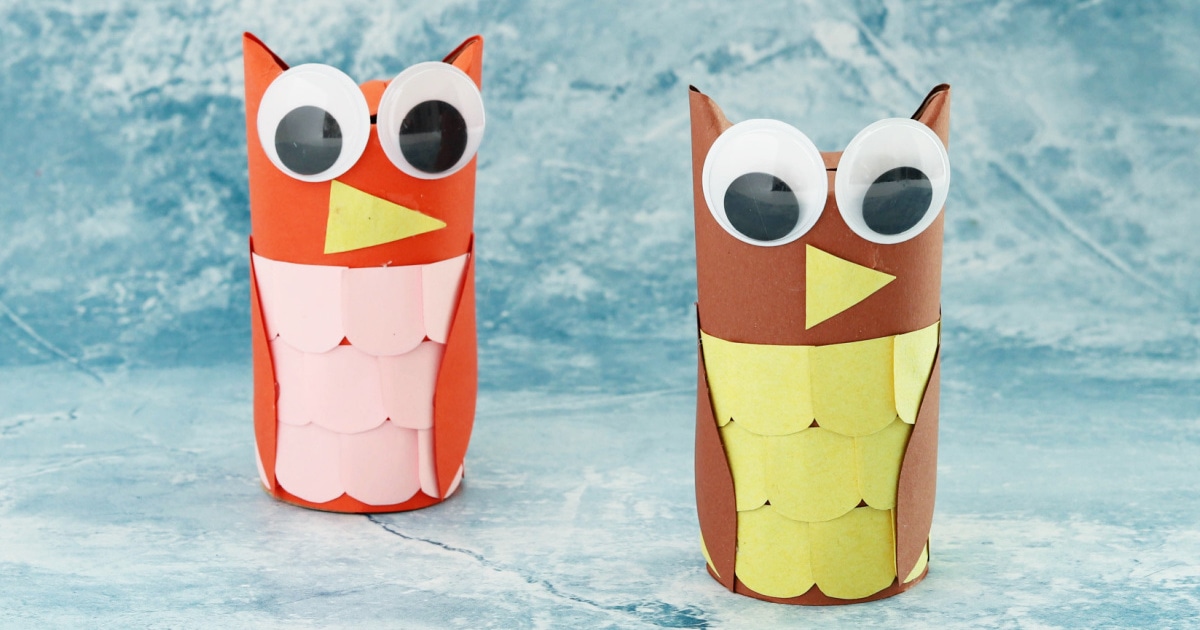 How To Make Toilet Paper Roll Owl Crafts 