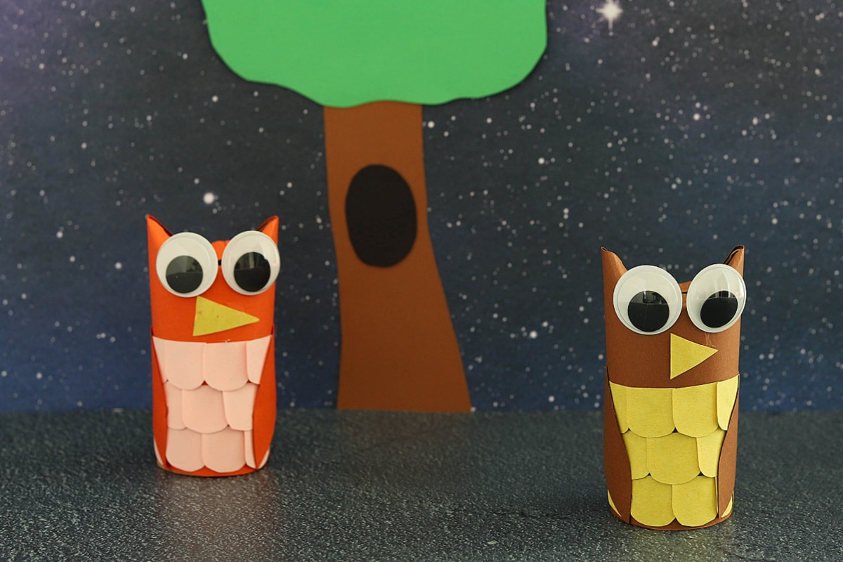 Toilet paper roll owls with dark background