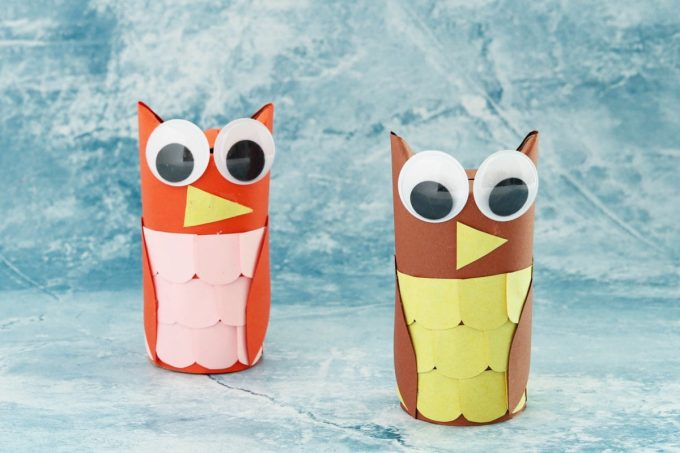 How To Make Toilet Paper Roll Owl Crafts | Fun Money Mom