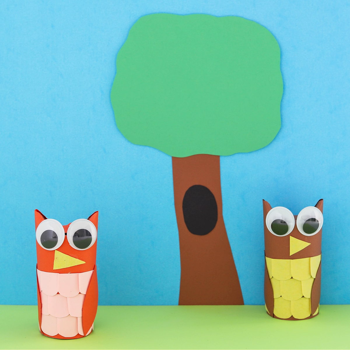 Toilet Paper Roll Owls 