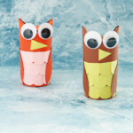 Toilet paper roll owl crafts
