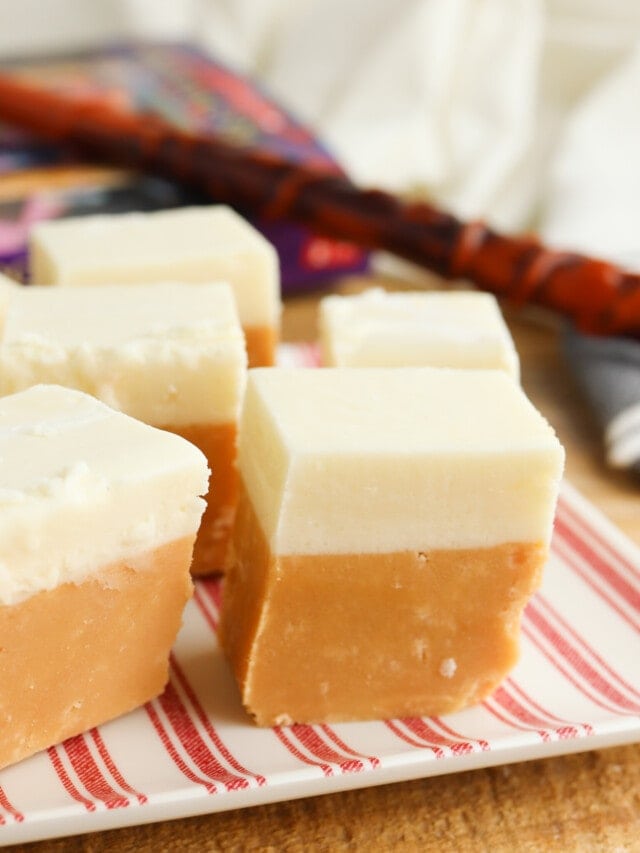 Harry Potter Butterbeer Fudge Fun Money Mom