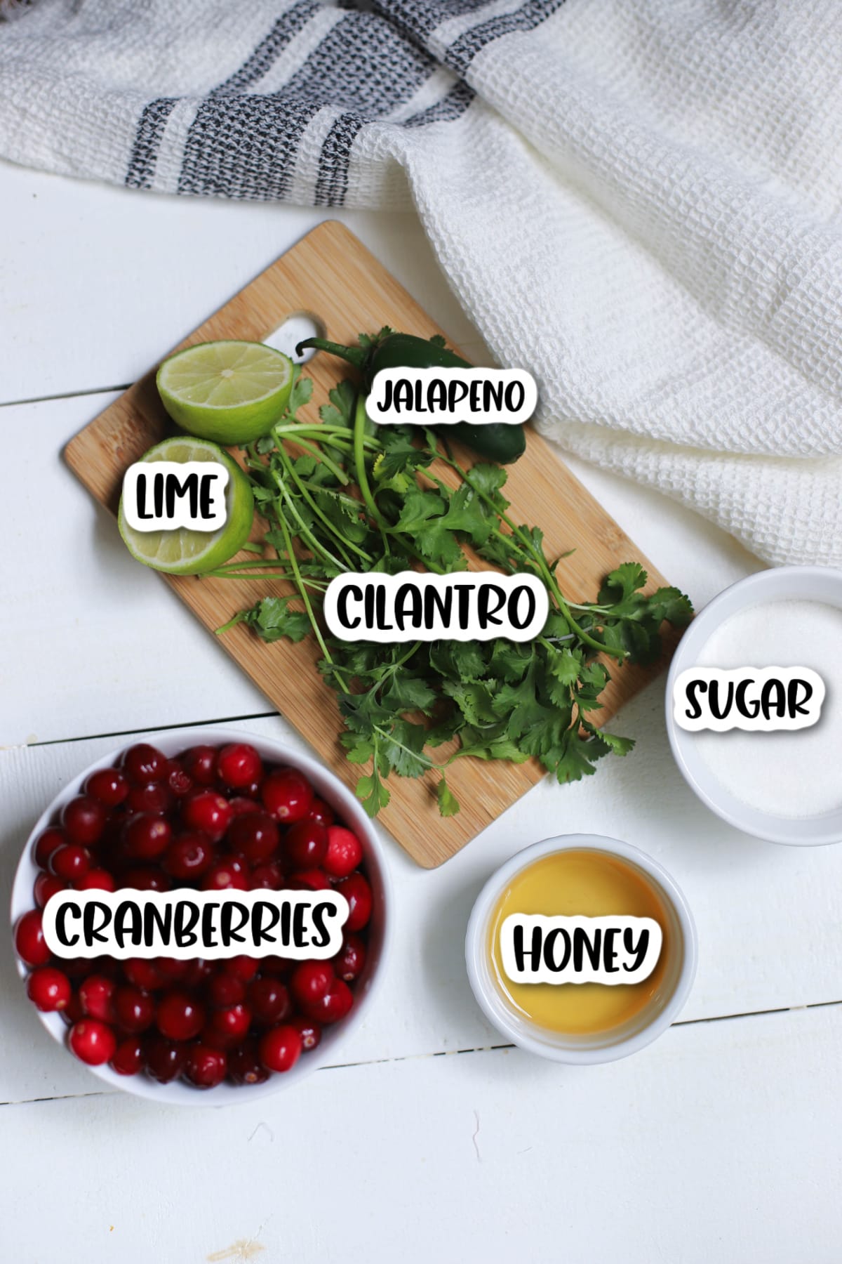 Ingredients for cranberry salsa