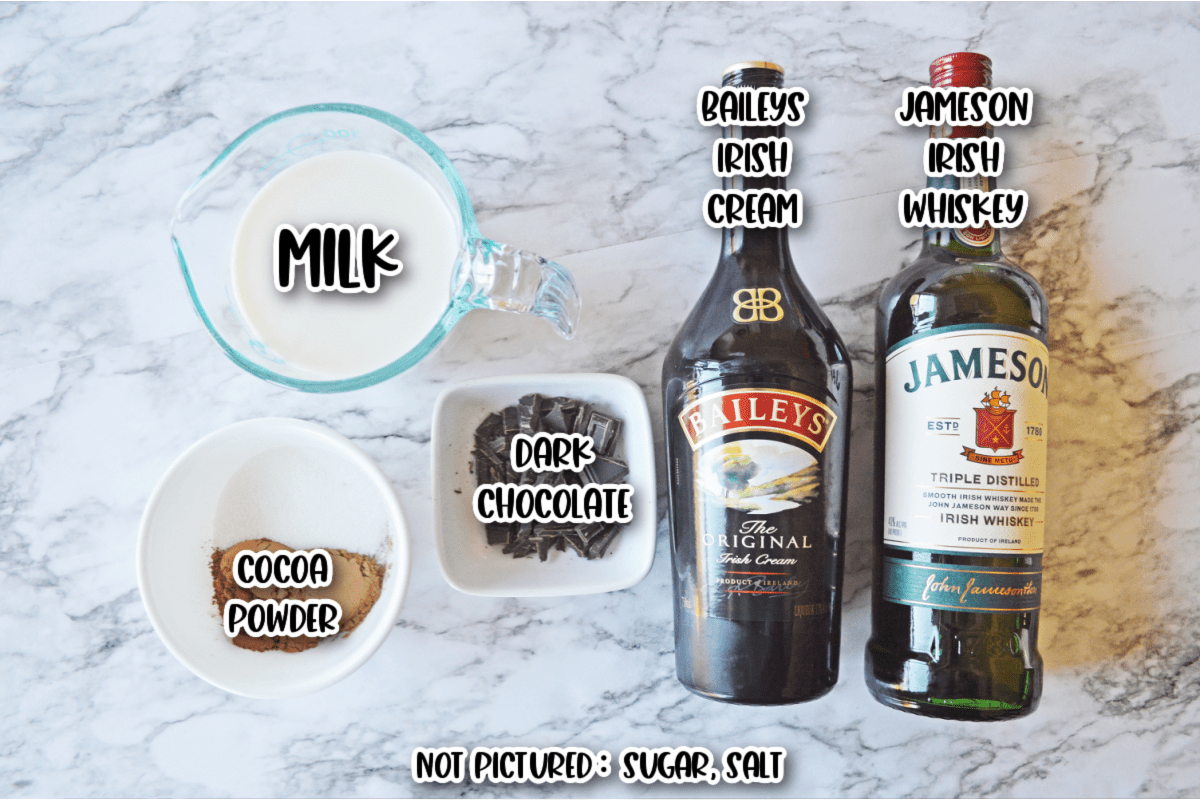 Ingredients for Baileys Irish Hot Chocolate