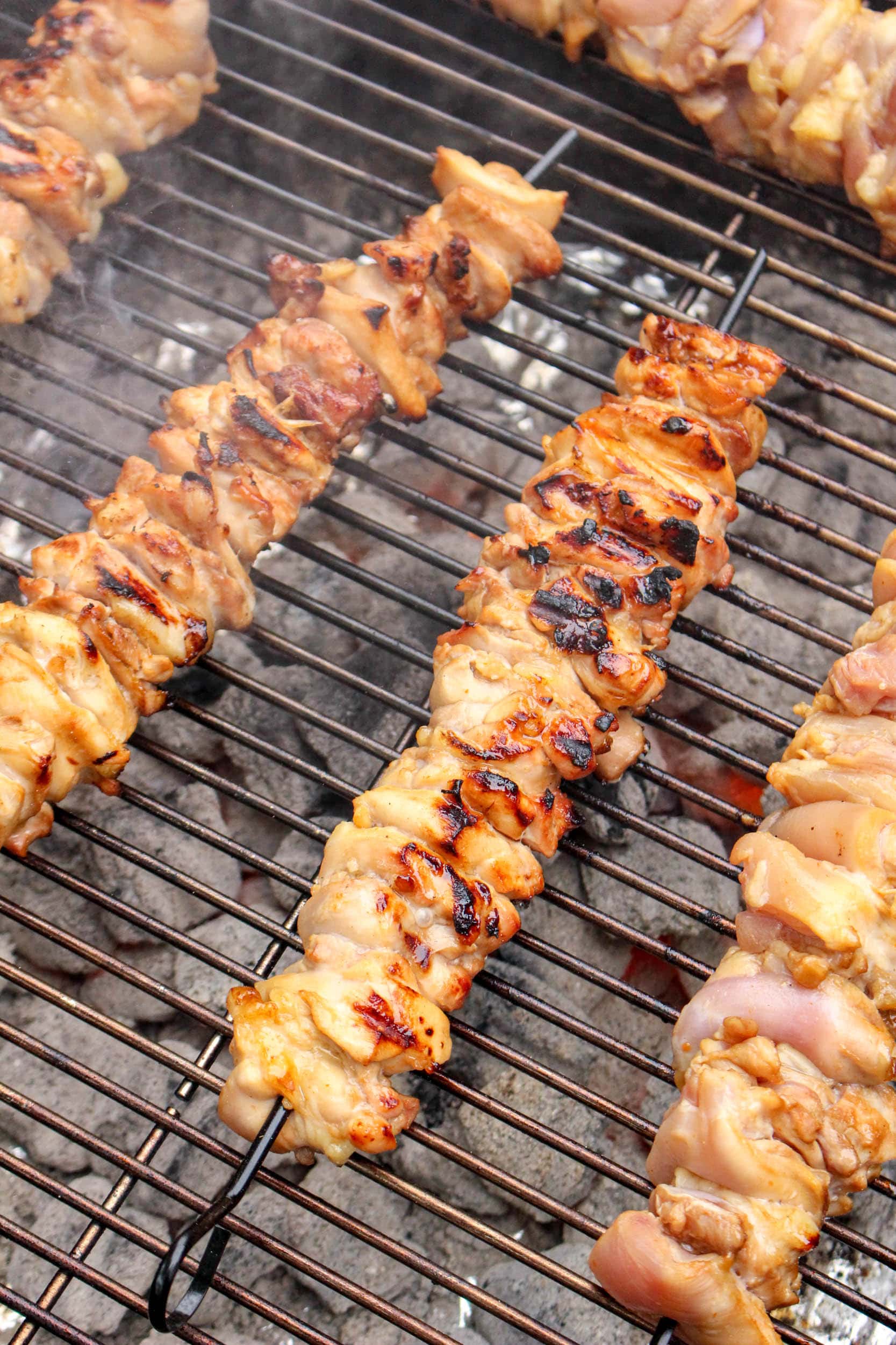 Grilled chicken kabobs on the grill