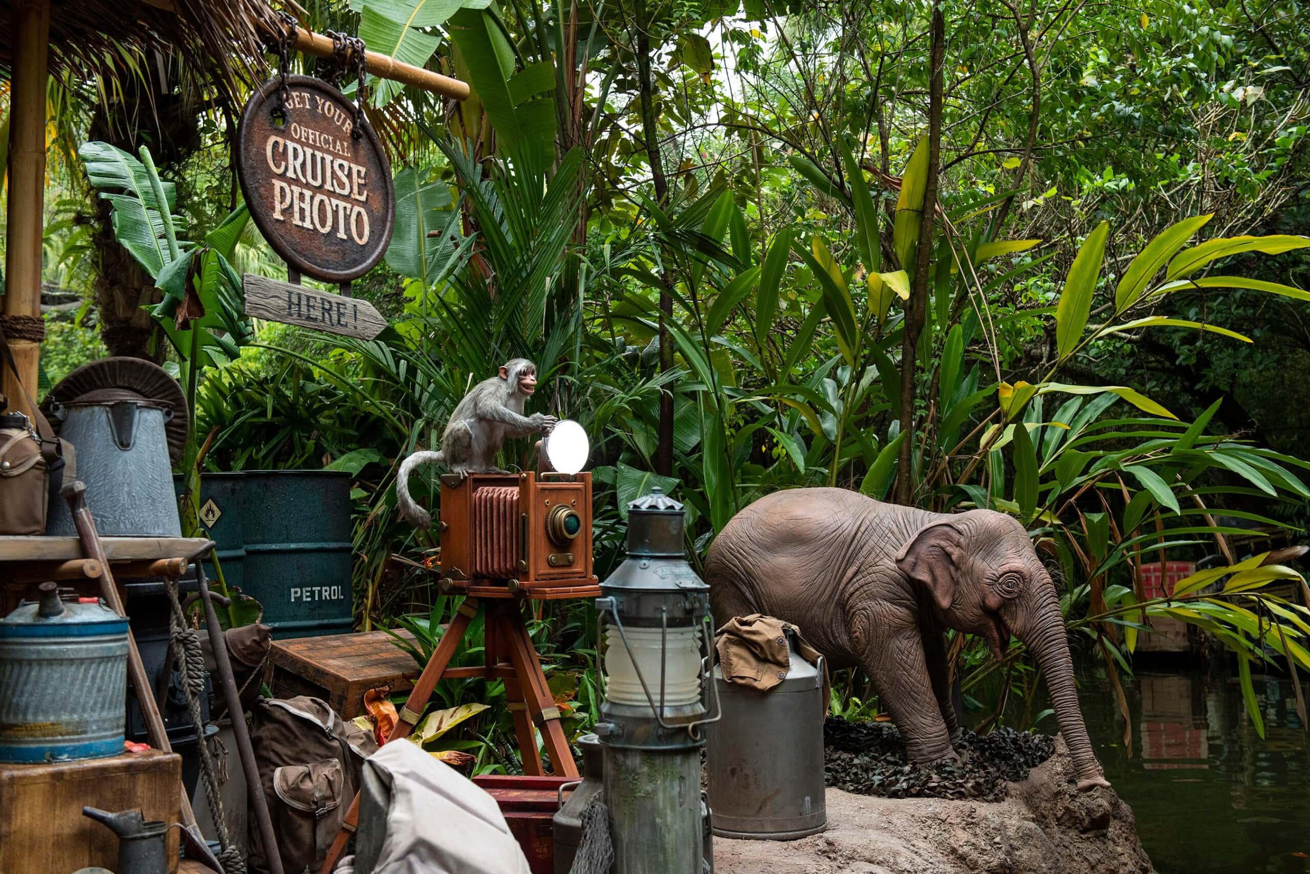 Animals on the Jungle Cruise Tour