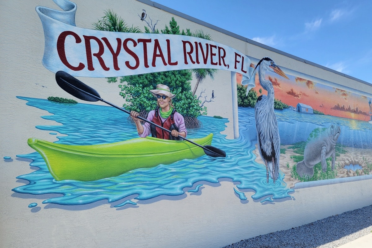 10 Of The Best Things To Do In Crystal River, Florida - Fun Money Mom
