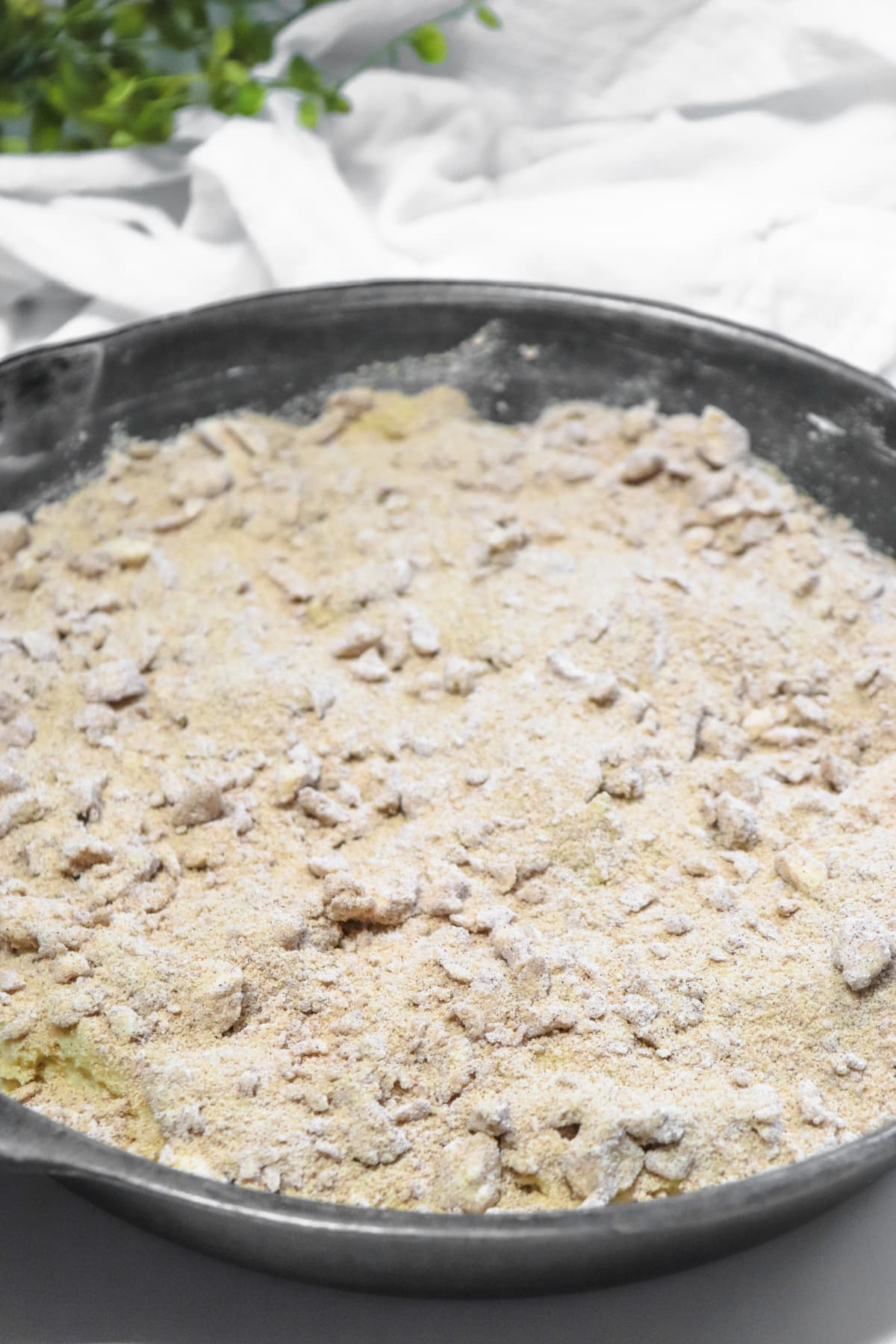 Coffee cake batter with topping sprinkled over top