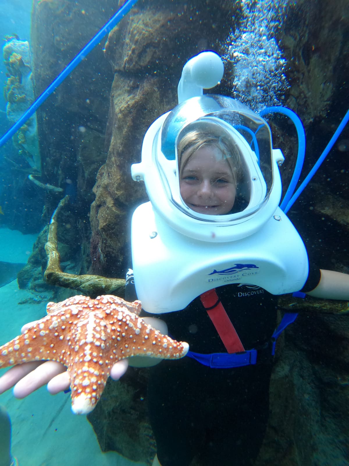 Little girl holding starfish