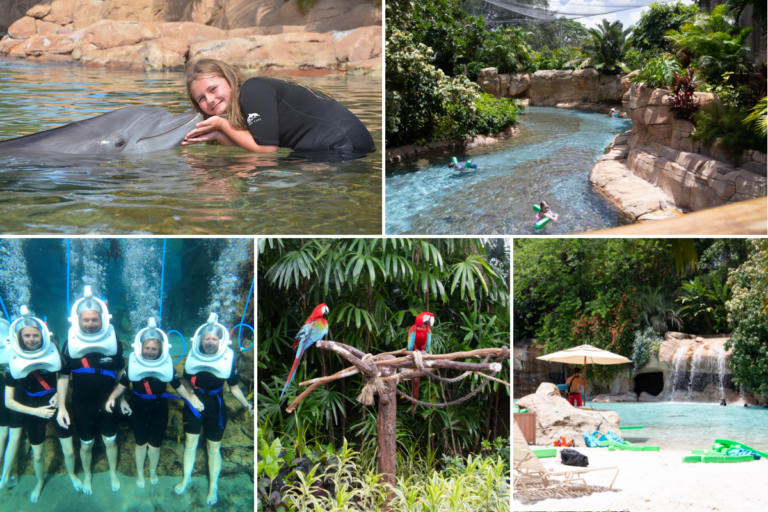 The Complete Guide To Discovery Cove Orlando