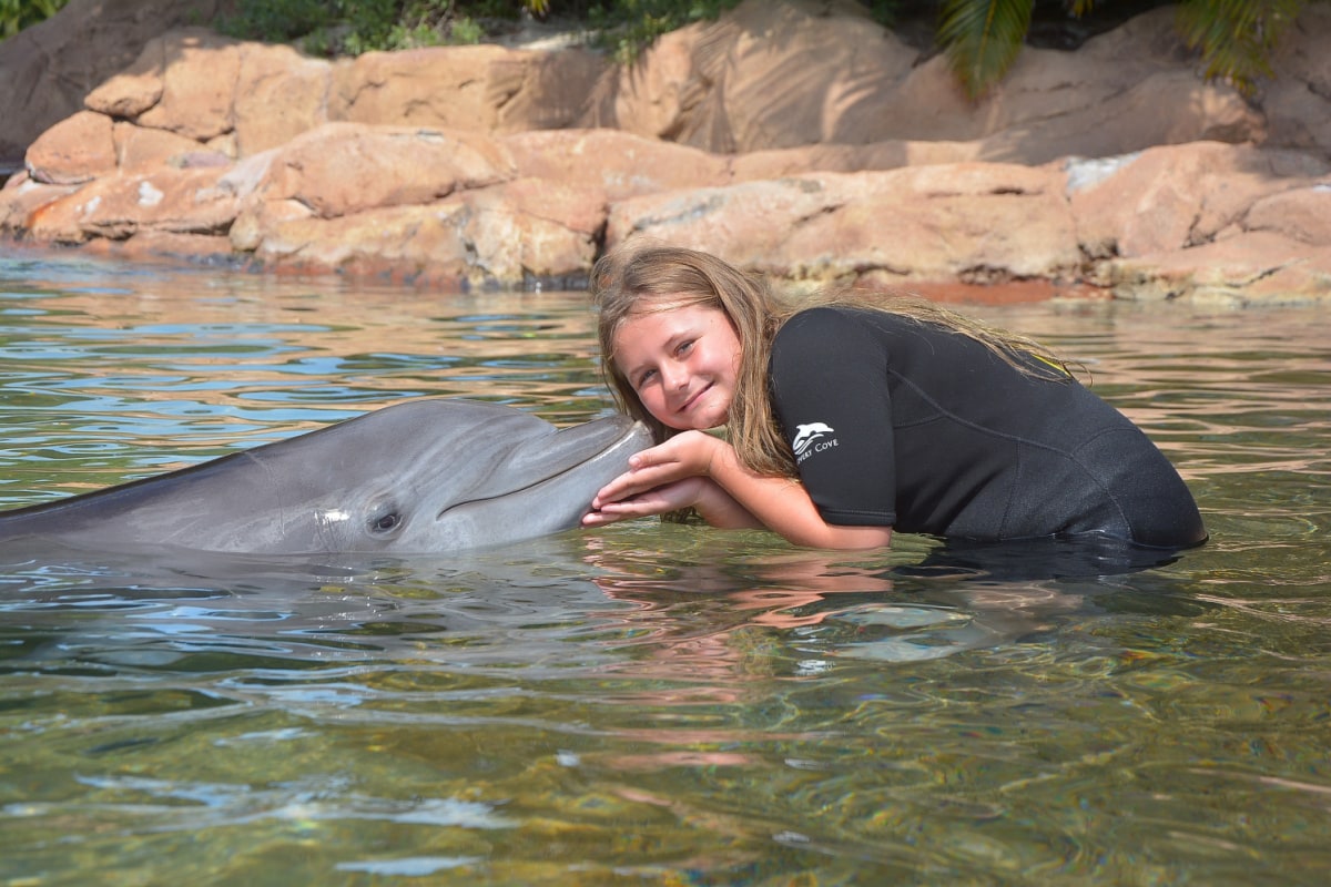 Girl getting kissed by dolphin