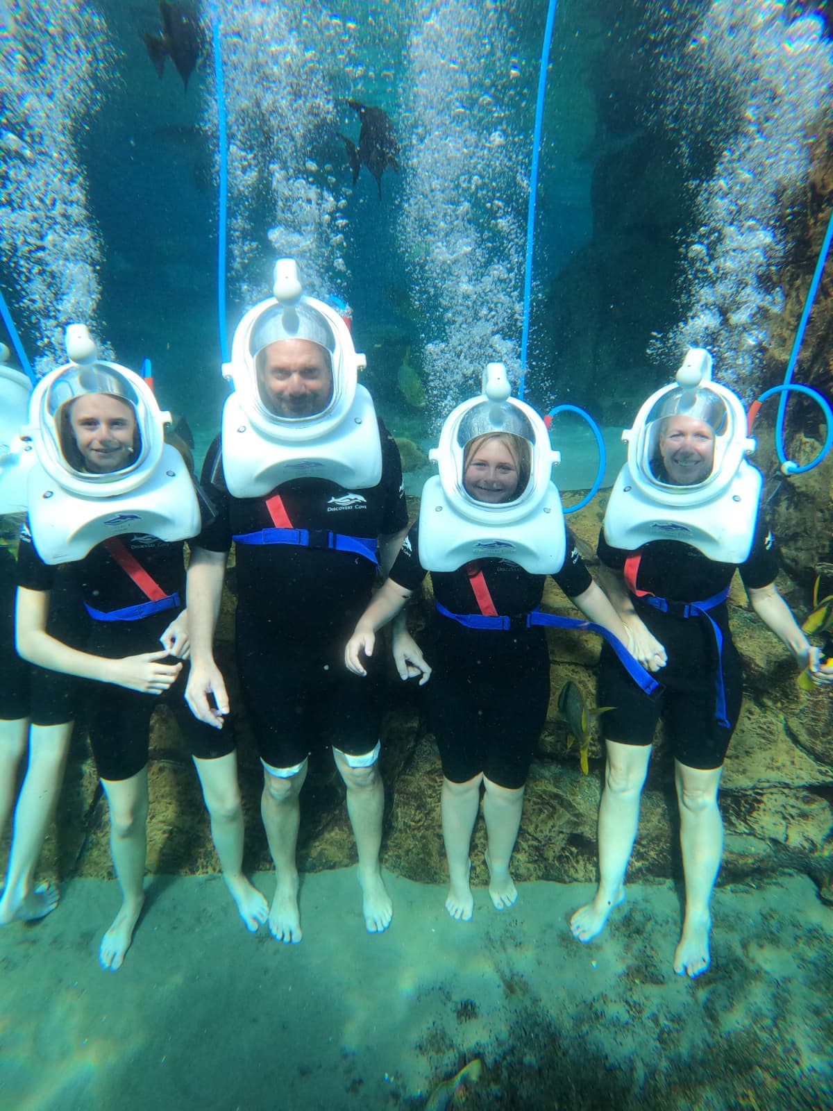SeaVenture experience at Discovery Cove