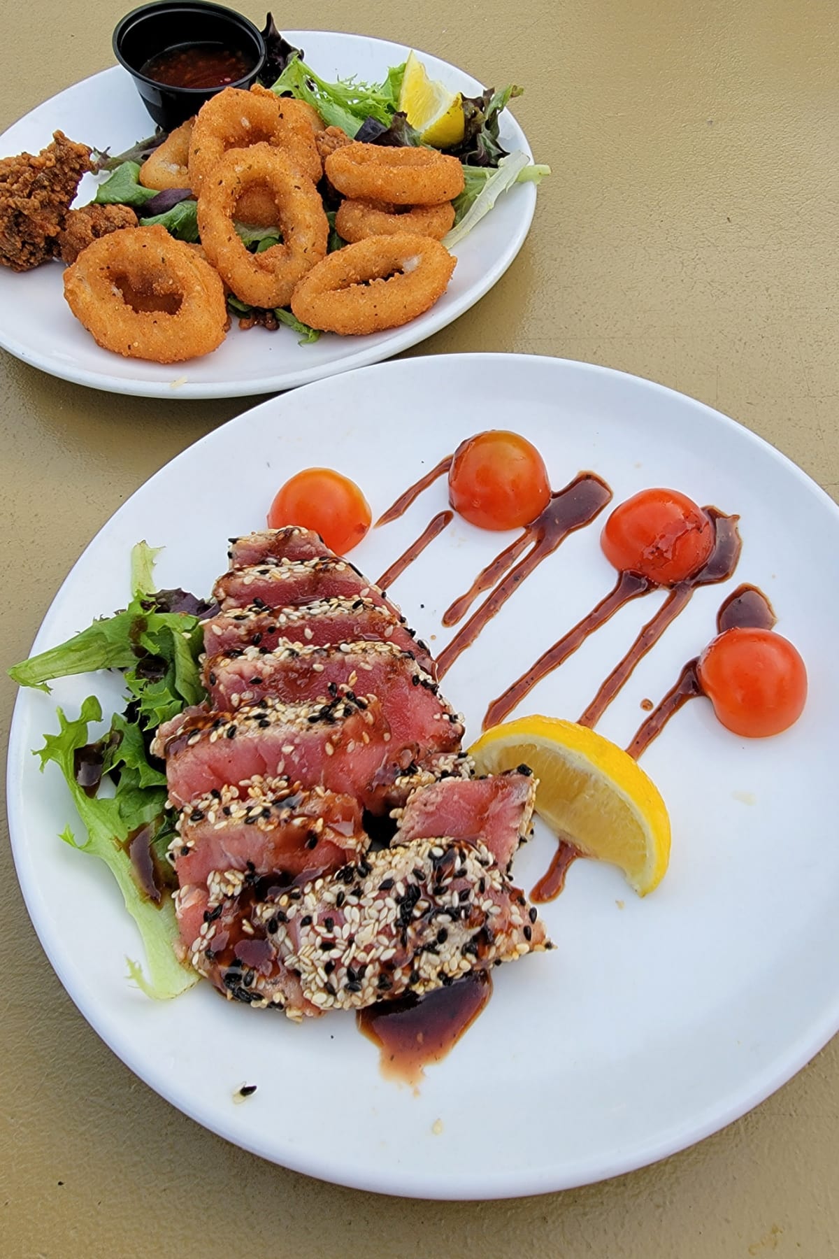 Tuna and calamari appetizers